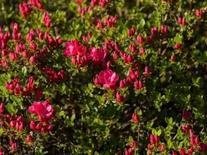 Prodej rodinného domu, Družec, V Zátiší, 289 m2