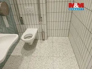 Pronájem obchodního prostoru, Opava, Masarykova třída, 25 m2