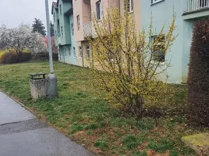 Dražba pozemku, Praha, 243 m2