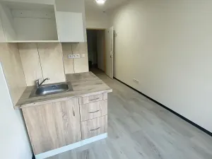Pronájem bytu 1+kk, Praha - Hlubočepy, Na Zlíchově, 20 m2