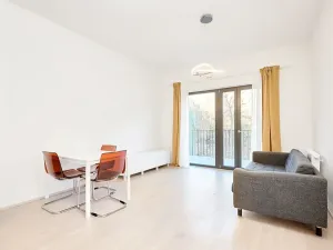 Prodej bytu 1+kk, Praha - Žižkov, Hartigova, 45 m2