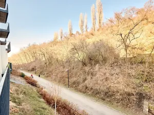 Prodej bytu 1+kk, Praha - Žižkov, Hartigova, 45 m2