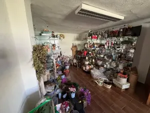 Prodej obchodního prostoru, Pelhřimov, 342 m2