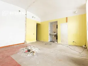 Prodej výrobních prostor, Malé Březno, 670 m2
