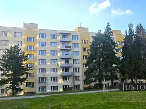 Prodej bytu 2+1, Písek, nábřeží 1. máje, 64 m2