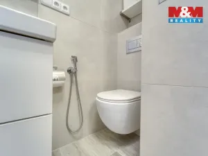 Prodej bytu 1+1, Plzeň - Severní Předměstí, Brněnská, 38 m2