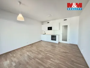 Pronájem bytu 1+kk, Praha, Mezi vodami, 30 m2