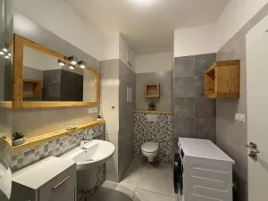 Prodej bytu 1+kk, Lipno nad Vltavou, 30 m2