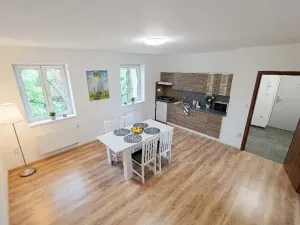 Pronájem - jiné, Ostrava, Riegrova, 300 m2