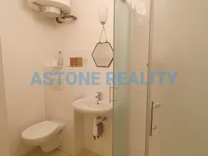 Prodej bytu 2+kk, Praha - Bubeneč, Raisova, 46 m2