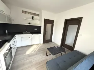 Pronájem bytu 1+1, Brno, Prokofjevova, 36 m2