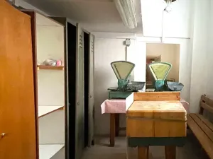 Pronájem obchodního prostoru, Brno, Gorkého, 101 m2