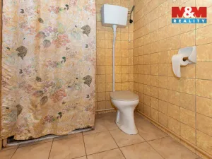 Prodej rodinného domu, Nechanice - Staré Nechanice, 120 m2