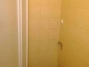 Pronájem bytu 2+1, Prostějov, Fügnerova, 56 m2