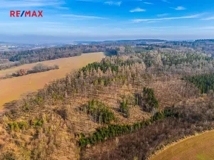 Prodej pozemku pro bydlení, Pozdeň, 1000 m2