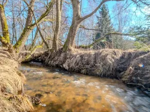 Prodej chaty, Petrovice II, 33 m2