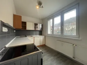 Pronájem bytu 2+1, Bílina - Teplické Předměstí, Sídliště U Nového nádraží, 53 m2