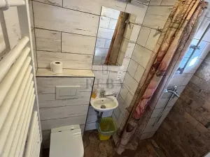 Prodej rodinného domu, Jáchymov, Palackého, 200 m2