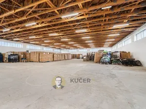 Prodej výrobních prostor, Kostelec nad Labem, Neratovická, 3457 m2