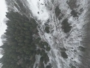 Prodej pozemku, Adršpach, 67106 m2