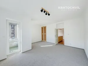 Pronájem bytu 1+1, Praha - Nusle, Na Jezerce, 53 m2