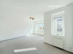 Pronájem bytu 1+1, Praha - Nusle, Na Jezerce, 53 m2