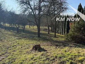 Pronájem rodinného domu, Soběsuky, 100 m2