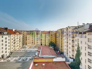 Pronájem bytu 1+kk, Praha - Žižkov, Rečkova, 32 m2