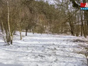 Prodej pozemku pro bydlení, Křižany, 1448 m2