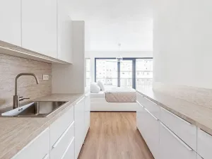 Pronájem bytu 1+kk, Brno - Veveří, Lidická, 52 m2