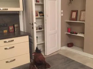 Pronájem bytu 2+kk, Liberec - Liberec I-Staré Město, Gorkého, 73 m2