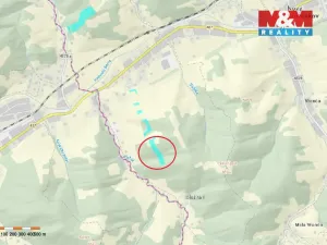 Prodej lesa, Nový Hrozenkov, 16666 m2