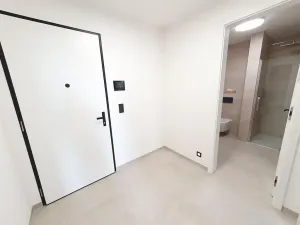 Pronájem bytu 2+kk, Praha - Břevnov, U Petřin, 55 m2