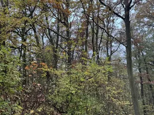 Prodej pozemku, Praha, 14747 m2