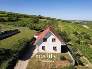 Prodej rodinného domu, Horní Věstonice, Mandloňová, 164 m2