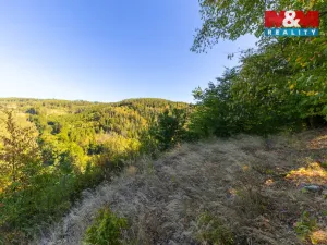 Prodej lesa, Lomnice, 7450 m2