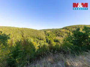 Prodej lesa, Lomnice, 7450 m2