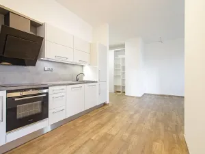 Pronájem bytu 3+kk, Ostrava, Horní, 89 m2