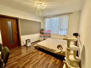 Prodej bytu 2+1, Planá nad Lužnicí, Příčná, 46 m2