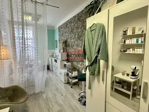 Prodej komerční nemovitosti, Soběslav, náměstí Republiky, 431 m2