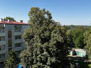 Pronájem bytu 2+1, Přerov - Přerov I-Město, Dvořákova, 69 m2