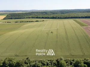 Prodej pole, Bulhary, 7380 m2