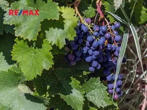 Prodej rodinného domu, Nový Oldřichov, 265 m2