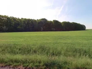 Prodej pole, Velenice, 3863 m2