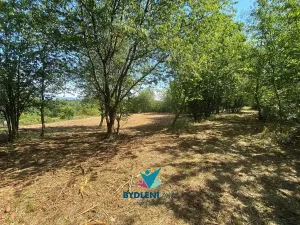 Prodej pozemku pro bydlení, Chabařovice, 1674 m2