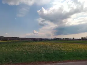 Prodej pole, Úštěk, 74838 m2