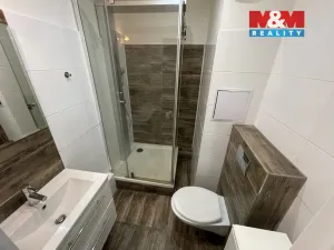 Pronájem bytu 1+kk, Ostrava - Moravská Ostrava, U Parku, 28 m2