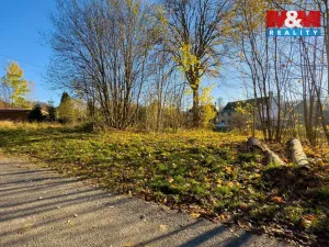 Prodej pozemku pro bydlení, Chřibská - Horní Chřibská, 8319 m2