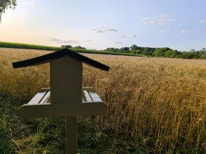 Prodej chaty, Osová Bítýška - Osová, 51 m2