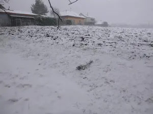 Dražba pole, Škvorec, 1638 m2